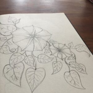 Illustraties-Eigen-Tekeningen-Fantasy-Artist-SB Designs Creations
