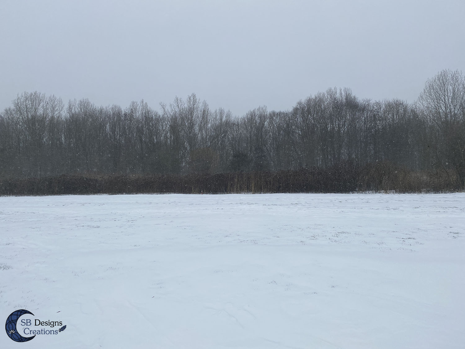 Winter-Natuur-Inspiratie