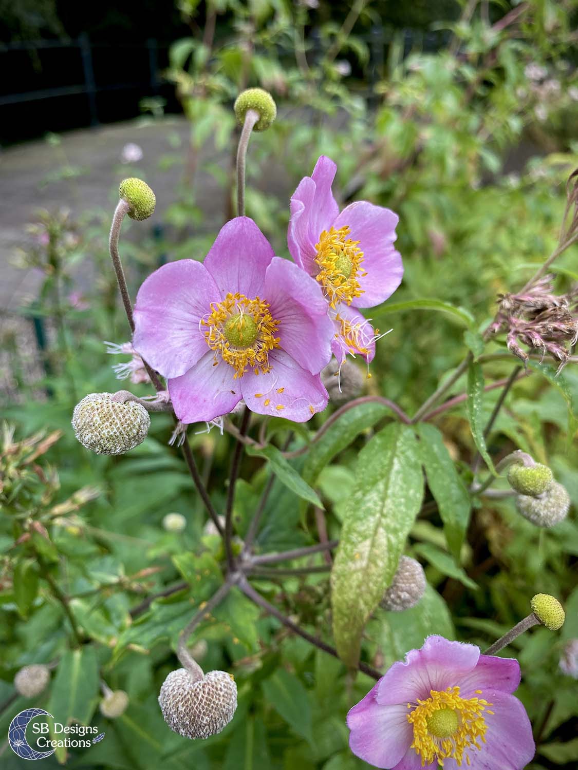 Kasteel-Rijnhuizen-Nieuwegein-Open-Monumentendag-Inspiratie-Blog-5