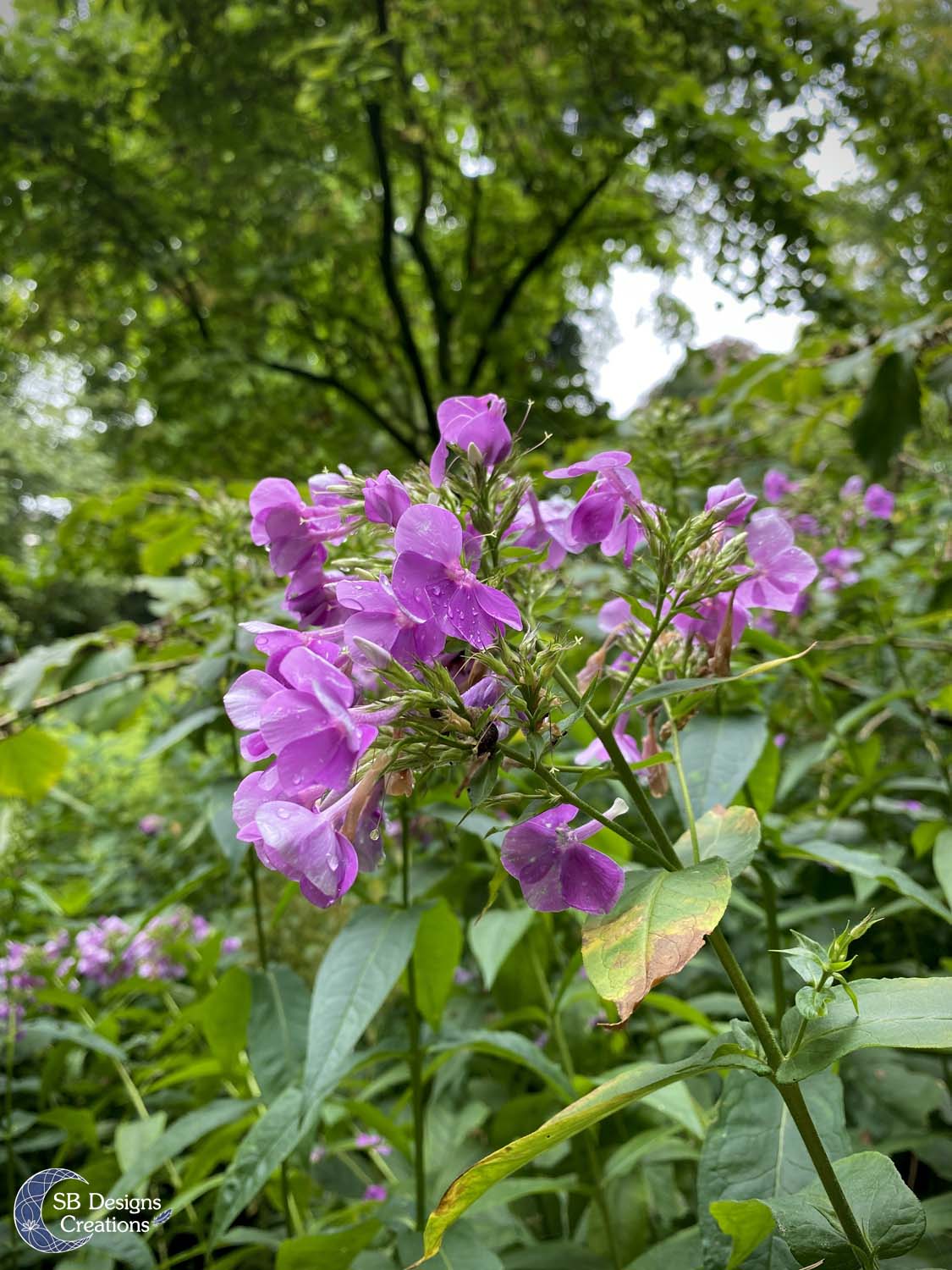 Kasteel-Rijnhuizen-Nieuwegein-Open-Monumentendag-Inspiratie-Blog-6